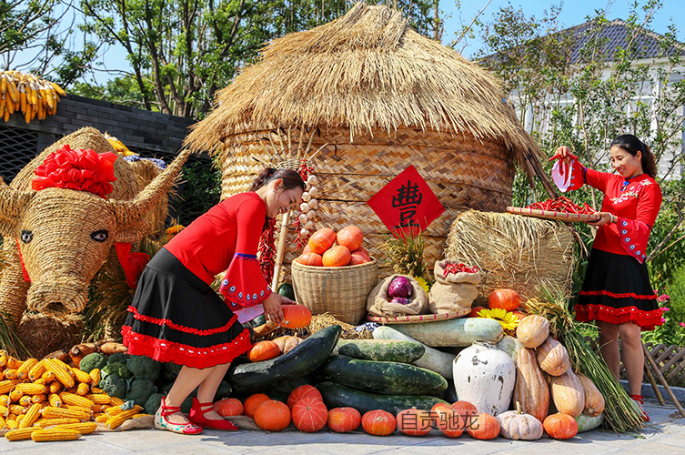 農民豐收節主題活動設計策劃